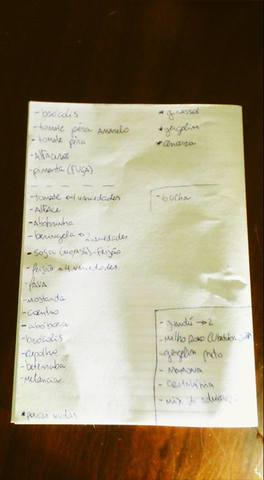20 lista sementes display